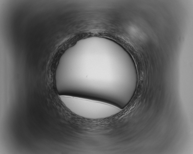 X0000100341398200806051215