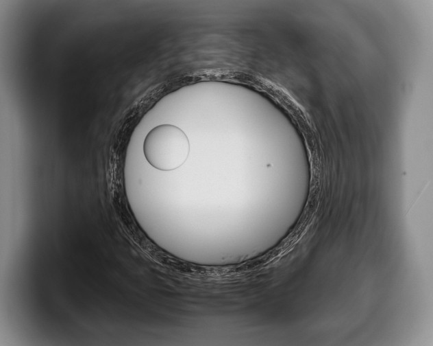 X0000100341399200806051215