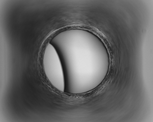X0000100341400200806051215