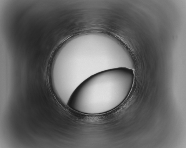 X0000100341402200806051215