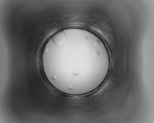 X0000100341405200806051215