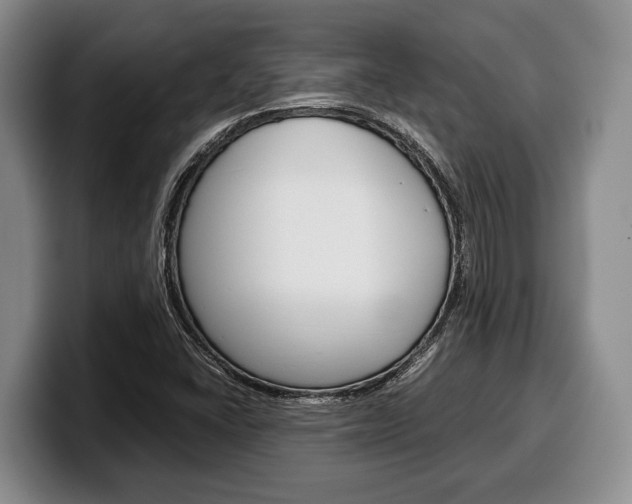 X0000100341406200806051215