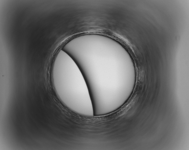 X0000100341407200806051215