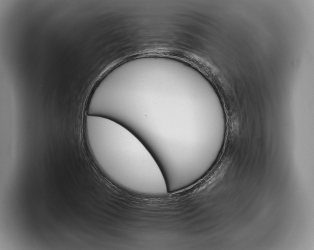 X0000100341409200806051215