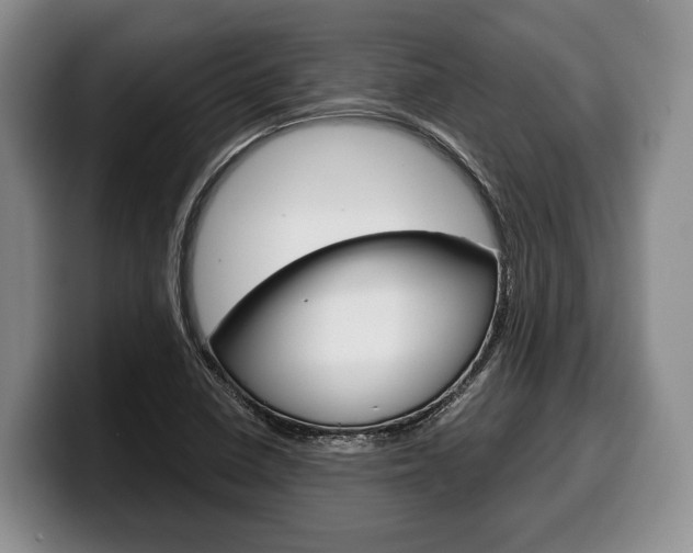 X0000100341410200806051215