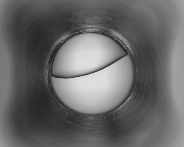 X0000100341411200806051215