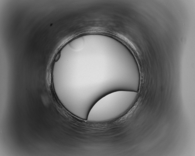 X0000100341413200806051215