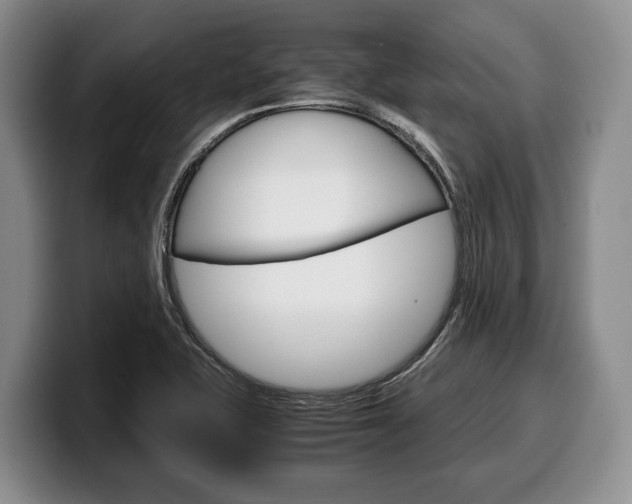 X0000100341415200806051215
