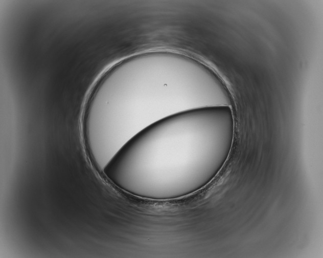 X0000100341416200806051215