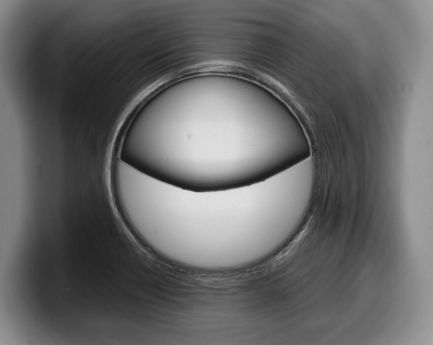 X0000100341418200806051215