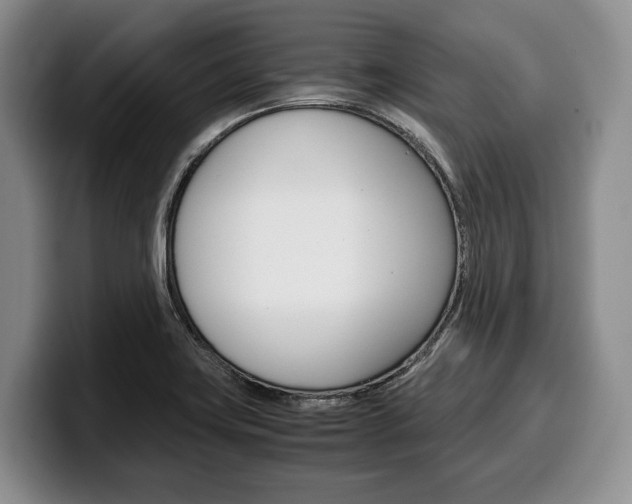 X0000100341419200806051215