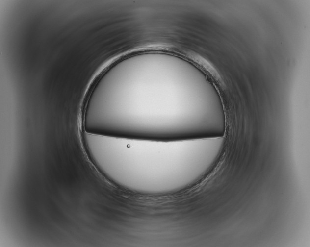 X0000100341420200806051215