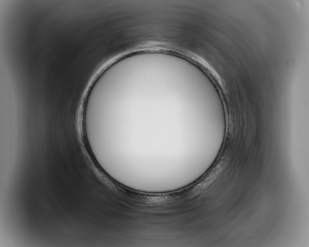 X0000100341421200806051215