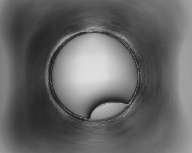 X0000100341422200806051215