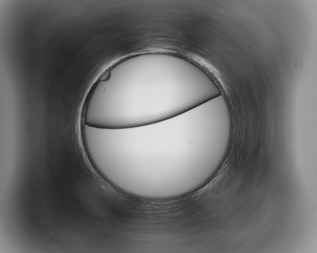X0000100341423200806051215