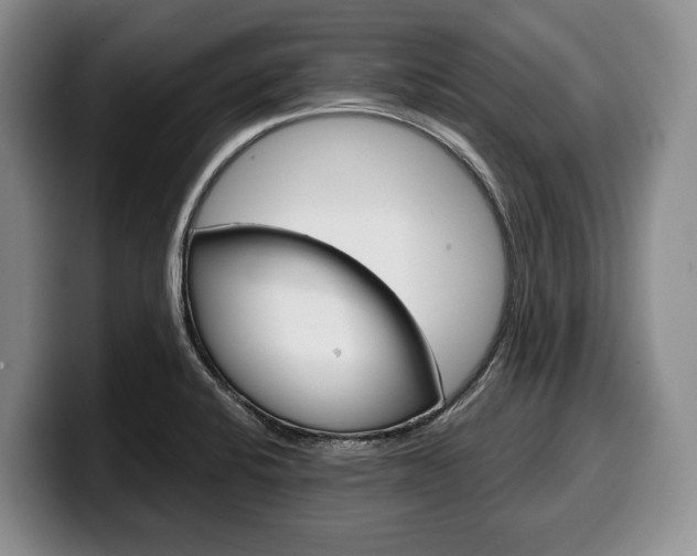 X0000100341424200806051215