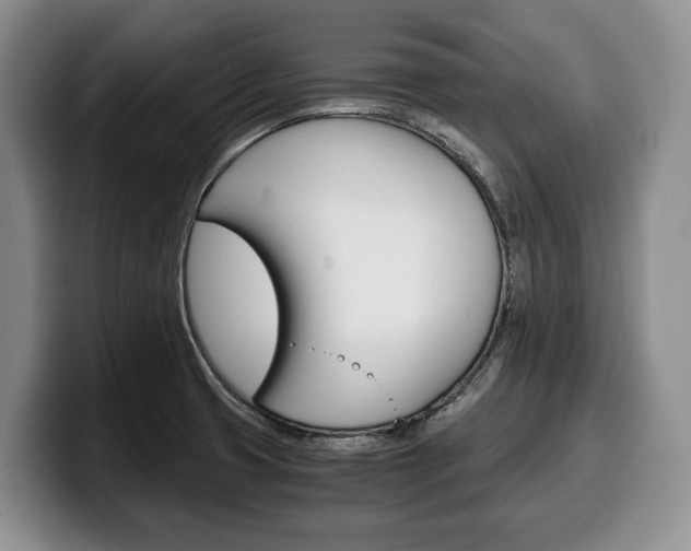 X0000100341425200806051215