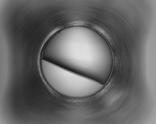 X0000100341426200806051215