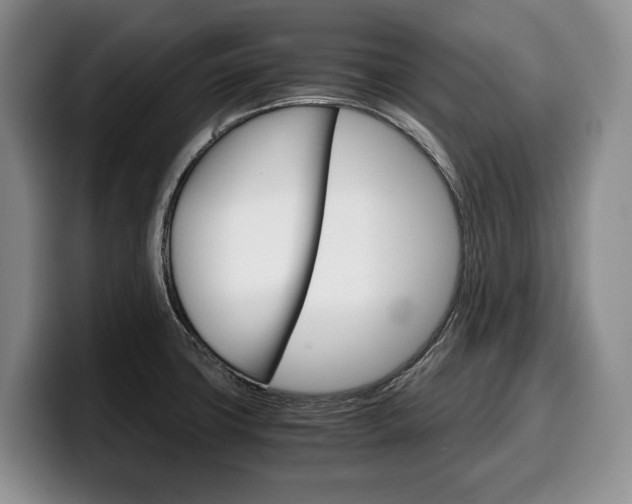 X0000100341427200806051215