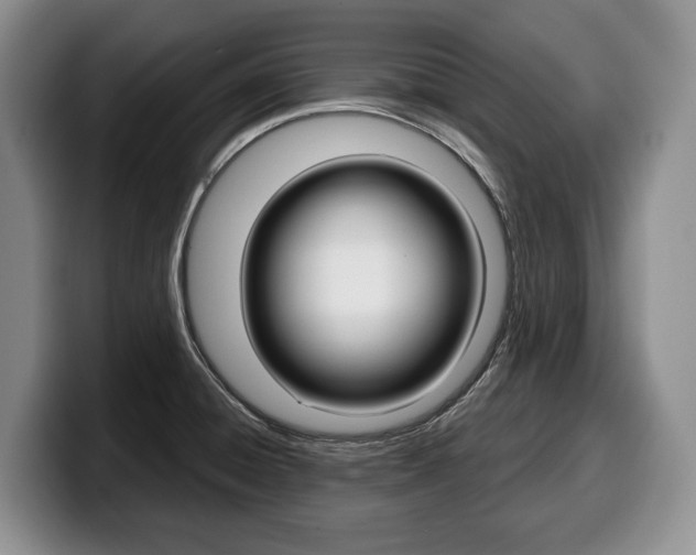 X0000100341428200806051215