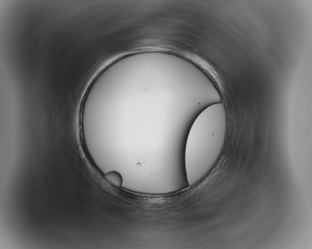 X0000100341431200806051215