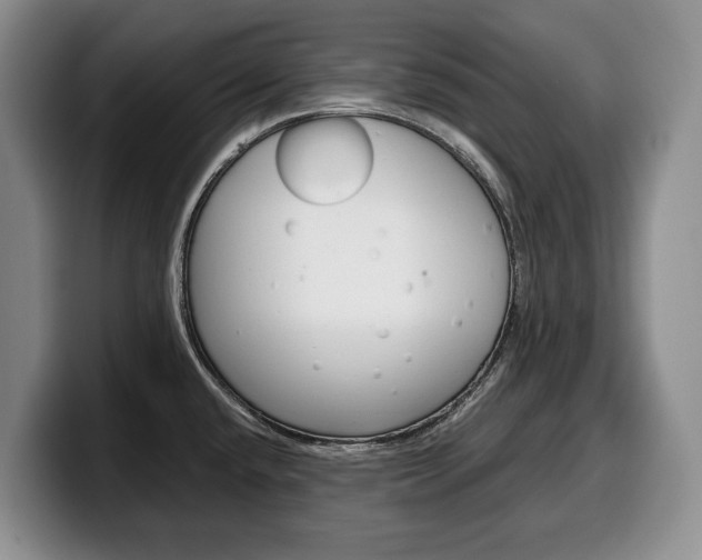 X0000100341432200806051215