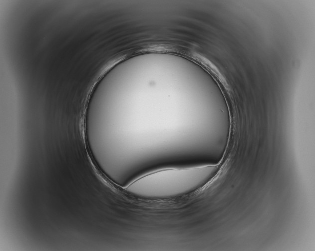X0000100341433200806051215