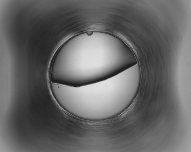 X0000100341434200806051215