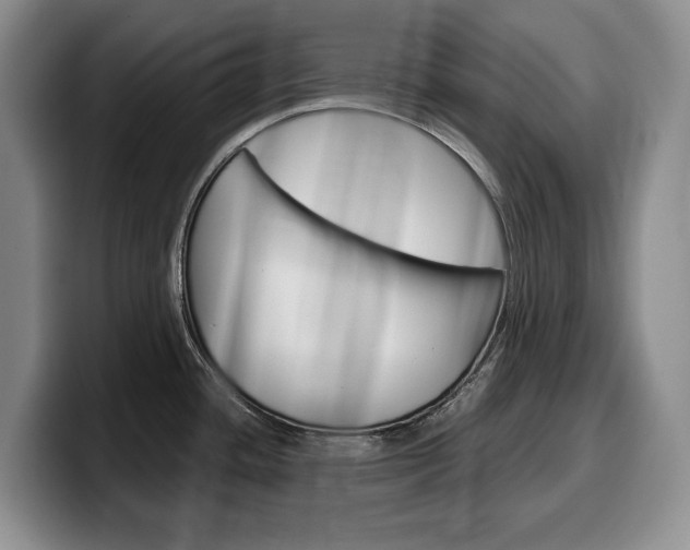 X0000100341436200806051215