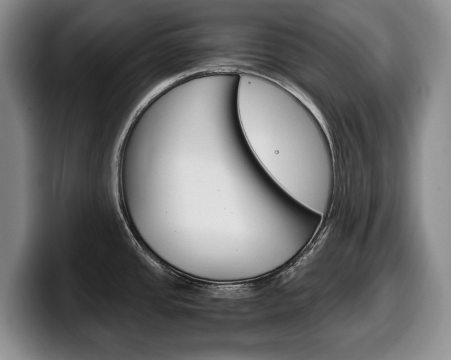 X0000100341437200806051215