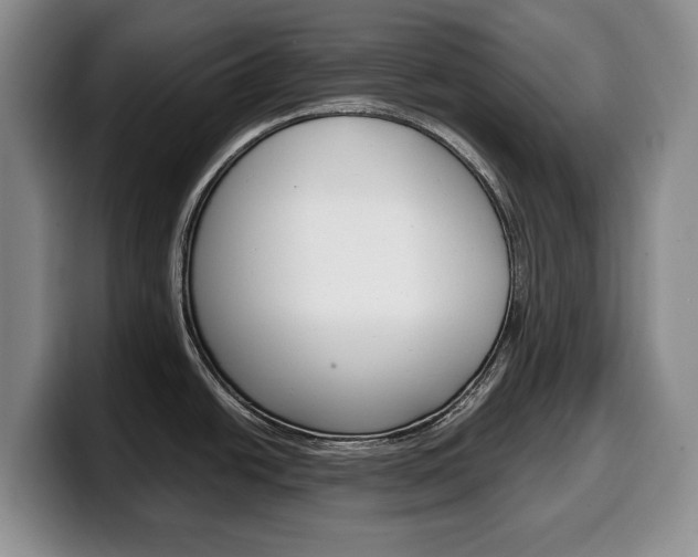X0000100341438200806051215