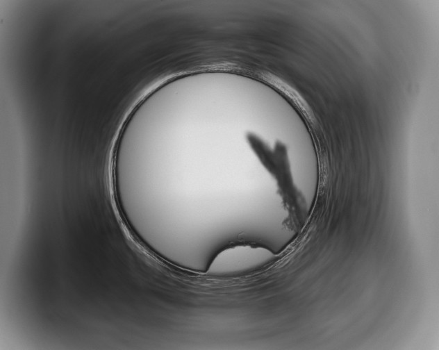X0000100341439200806051215