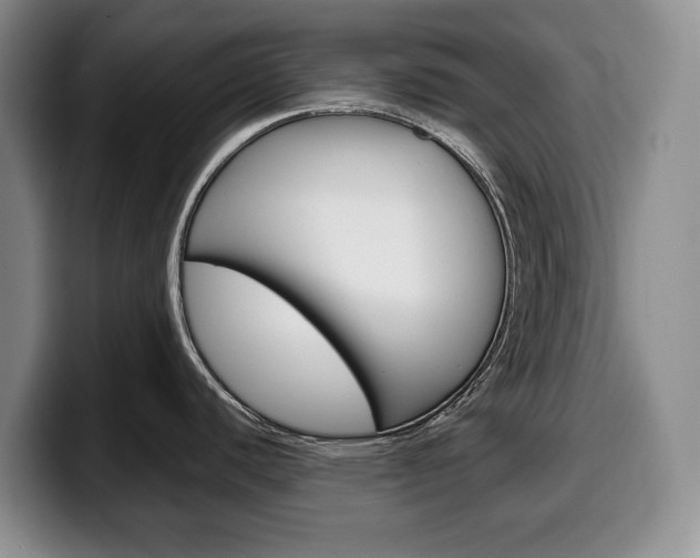 X0000100341440200806051215