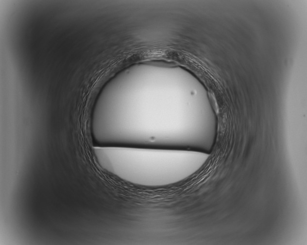 X0000100341441200806051215