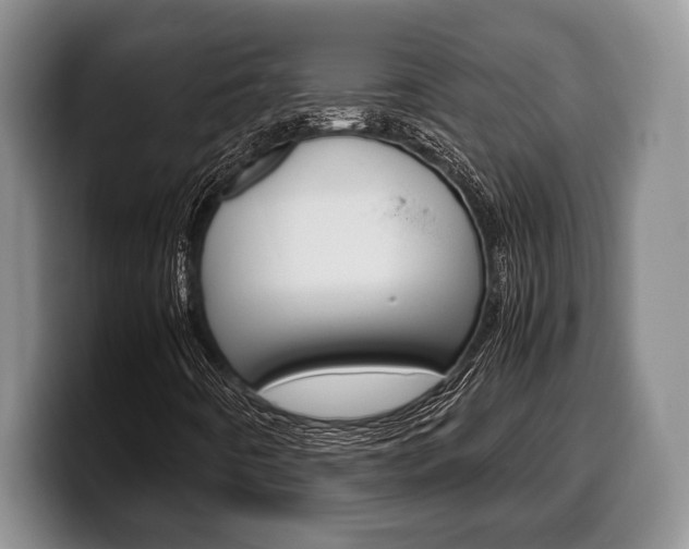 X0000100341442200806051215