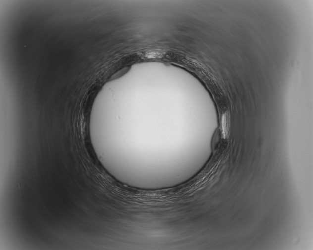 X0000100341443200806051215