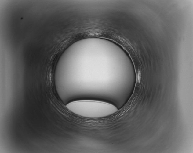 X0000100341444200806051215