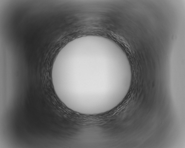 X0000100341445200806051215