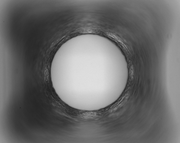 X0000100341446200806051215