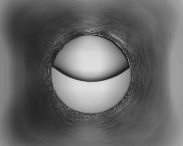 X0000100341447200806051215