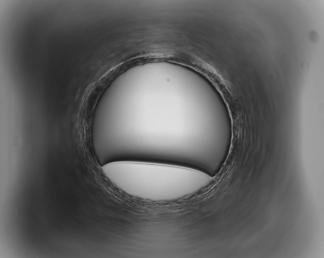 X0000100341448200806051215