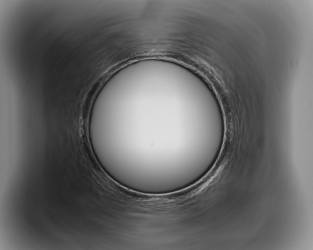 X0000100341449200806051215