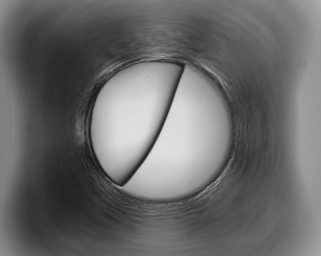 X0000100341451200806051215