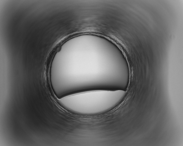 X0000100341452200806051215
