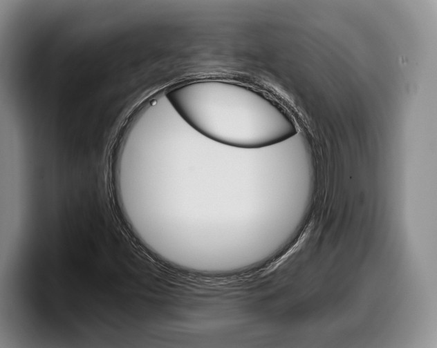 X0000100341453200806051214