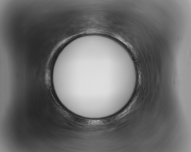 X0000100341454200806051214