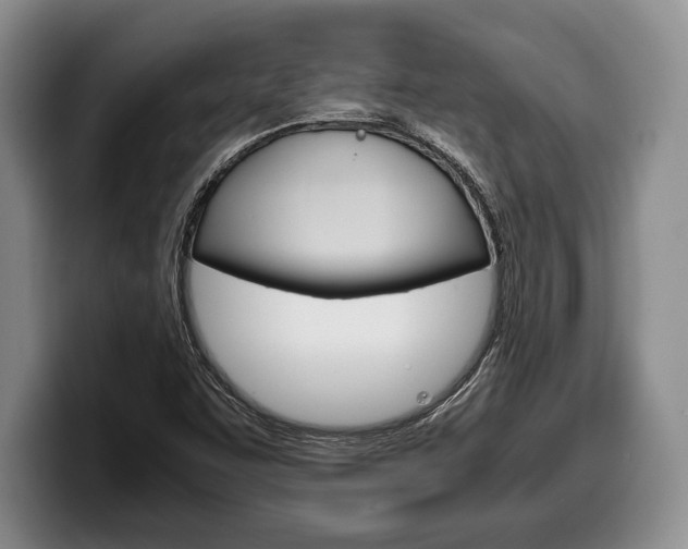 X0000100341455200806051214