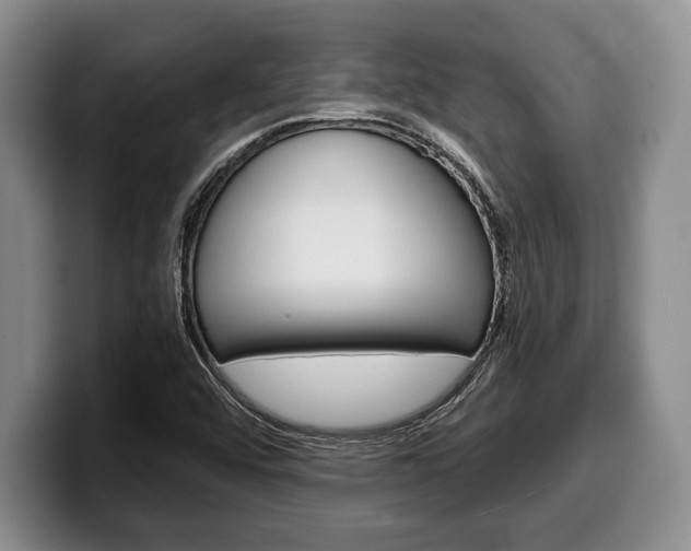 X0000100341456200806051214