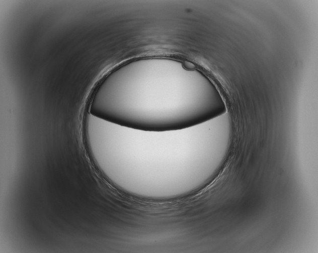 X0000100341459200806051214