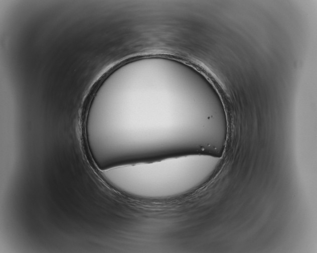 X0000100341460200806051214